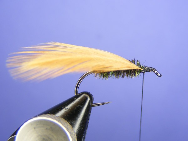 Lead Wing Coachman - classic wet fly - How to tie fly, Fly tying Step ...